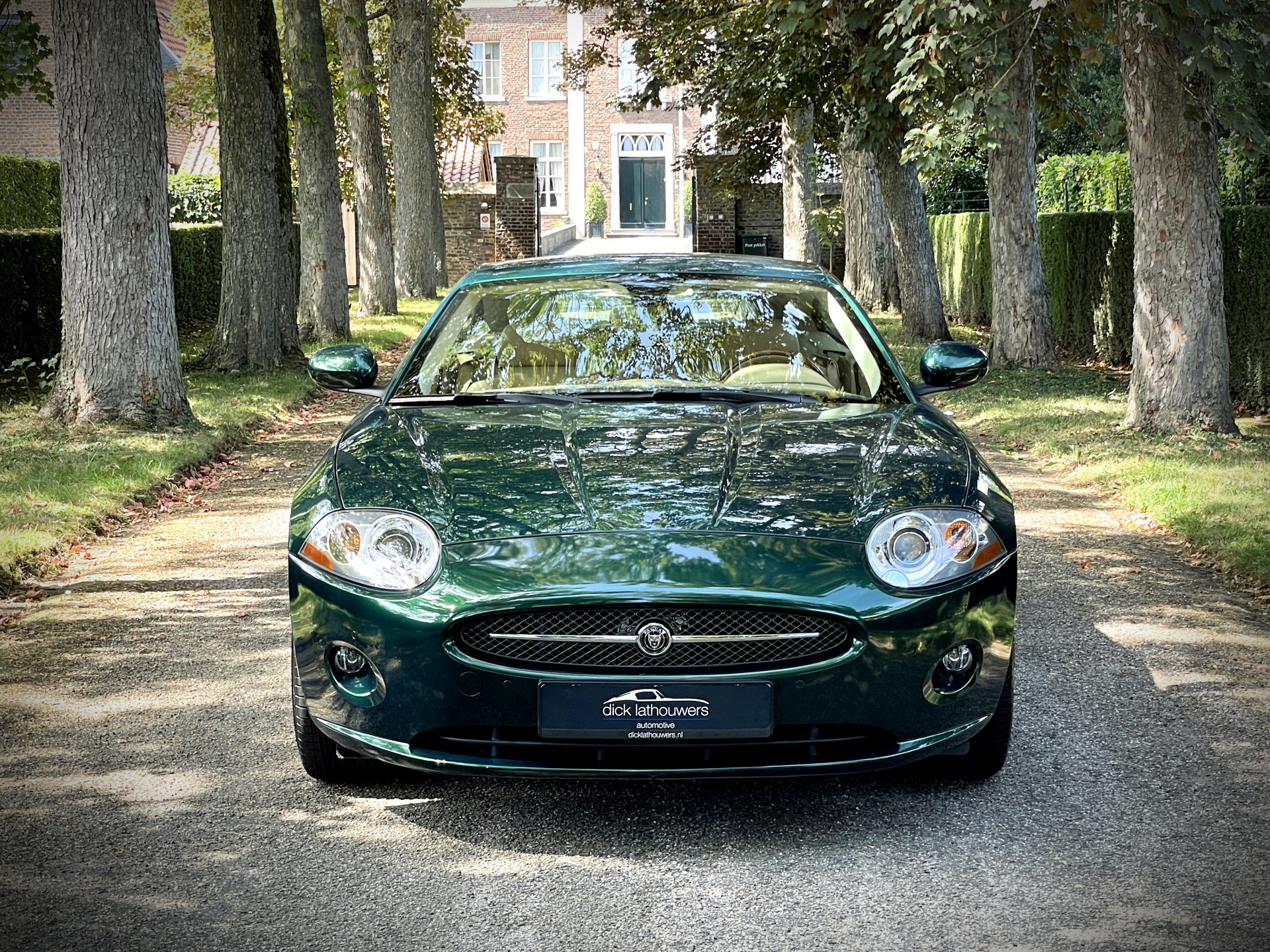 47095309-2.jpg