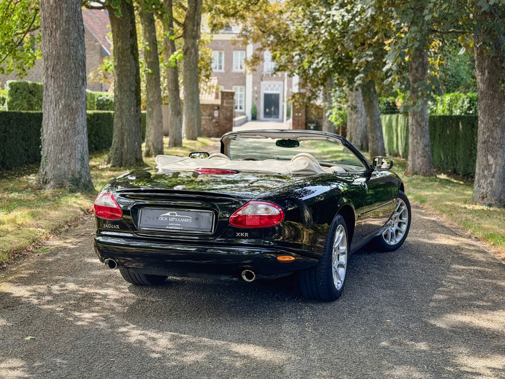 54599312-1.jpg