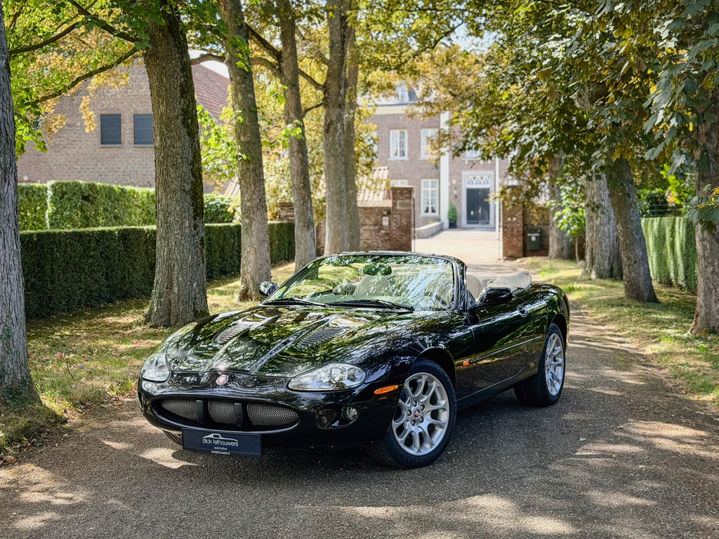 54599312-1.jpg