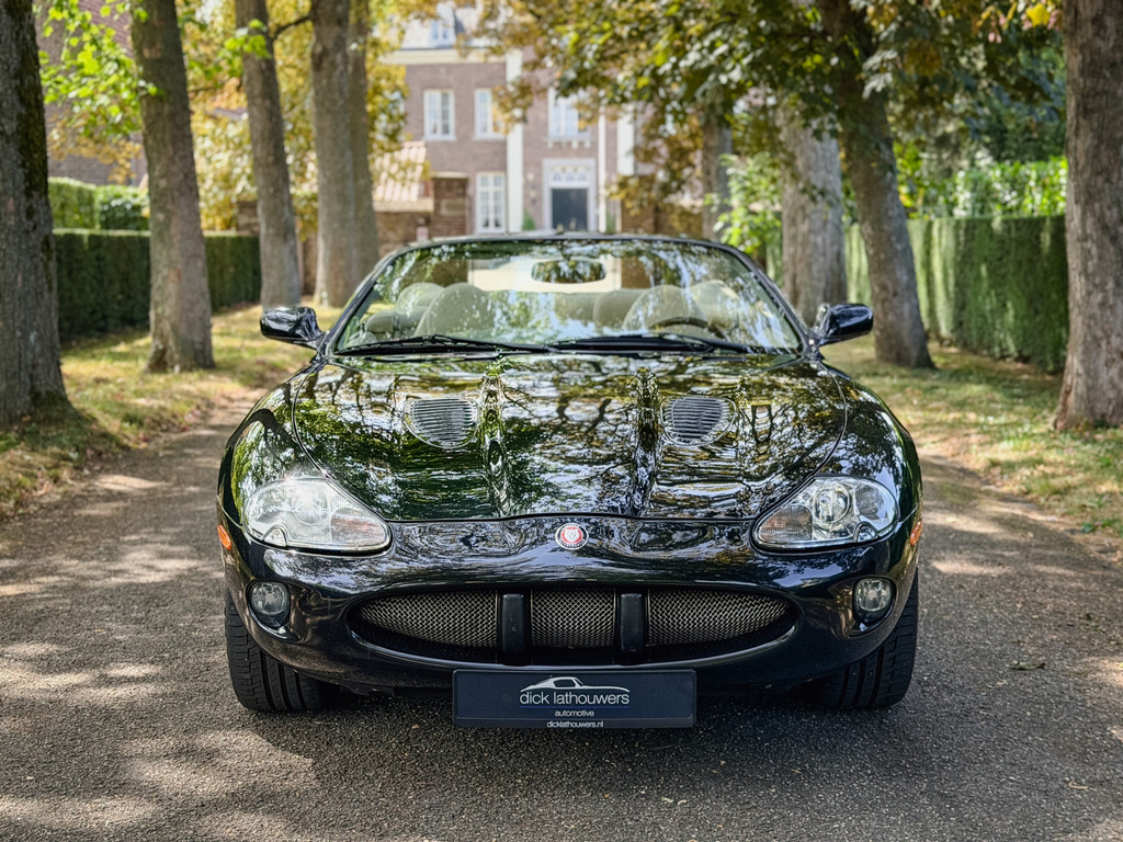 54599312-2.jpg