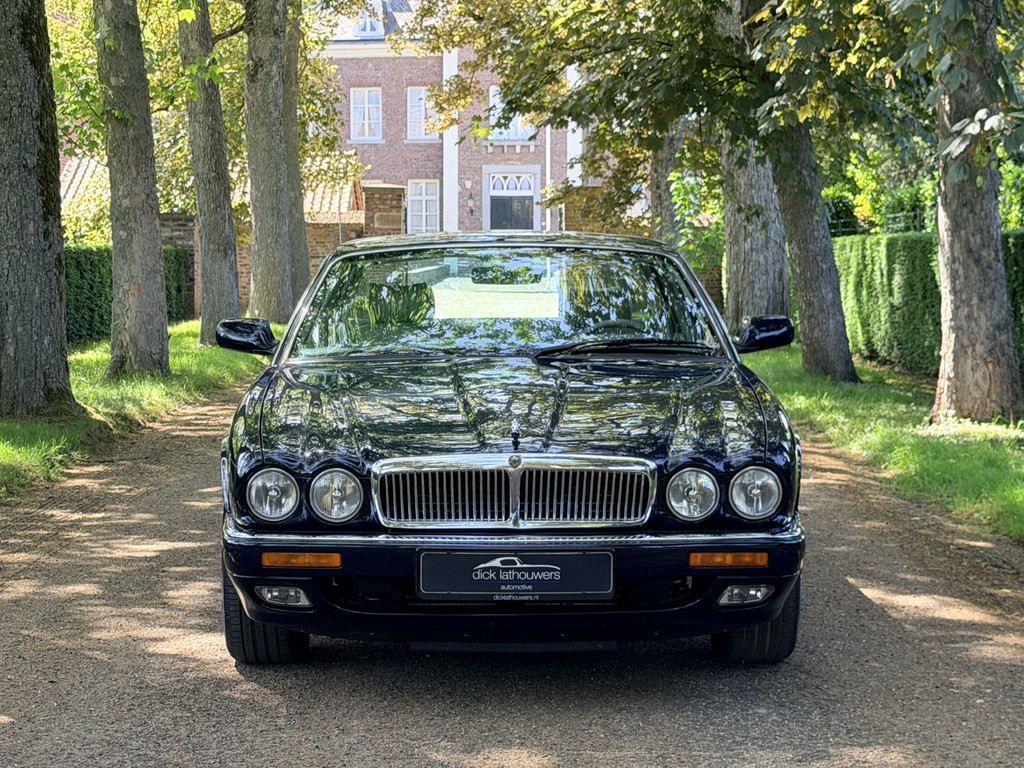 54636195-2.jpg