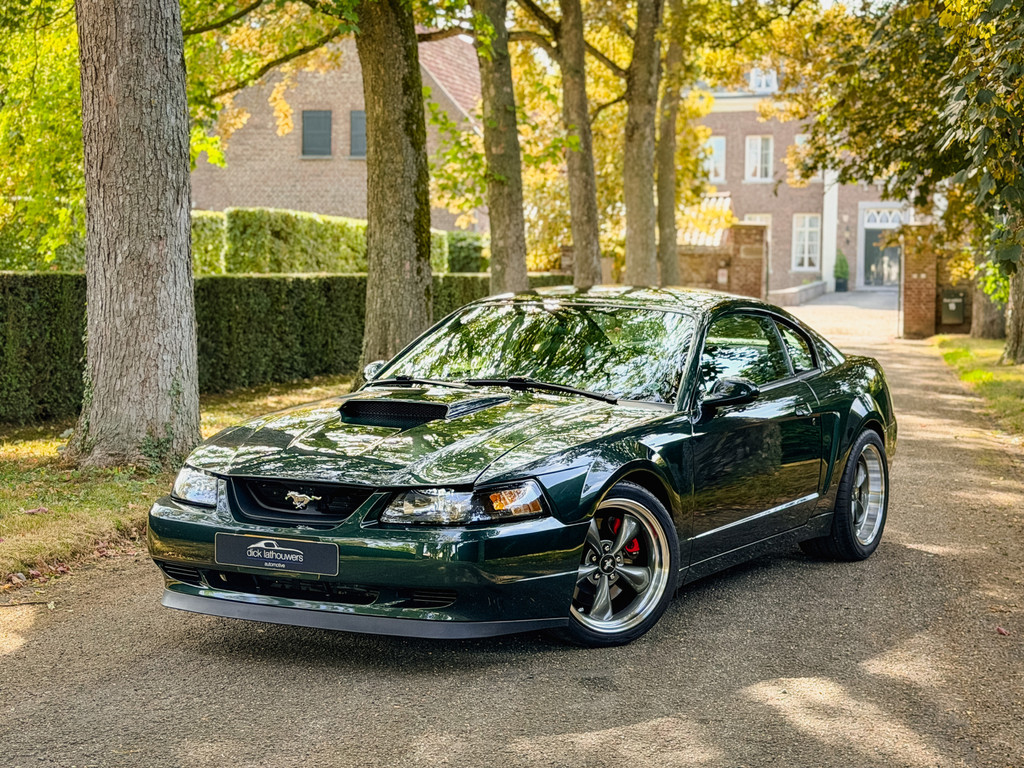 55429515