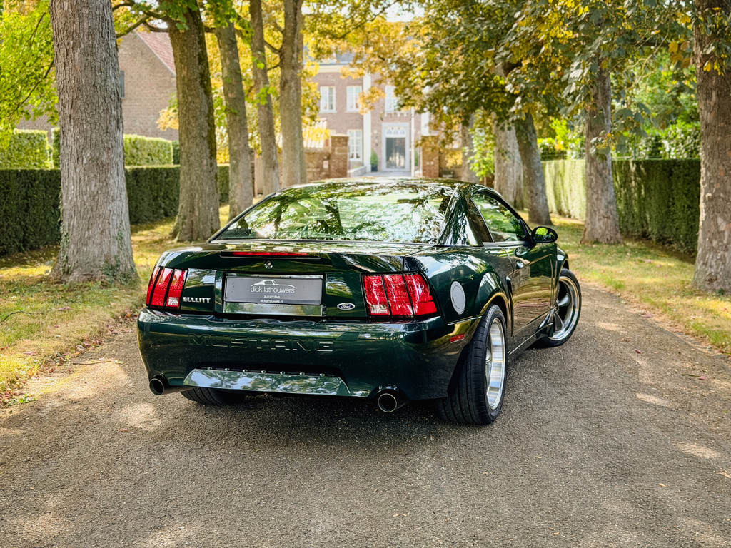 55429515-1.jpg